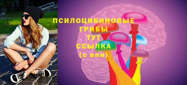 дмт Дмитриев