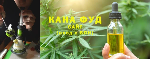 дмт Дмитриев