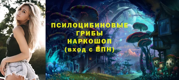 таблы Дмитровск