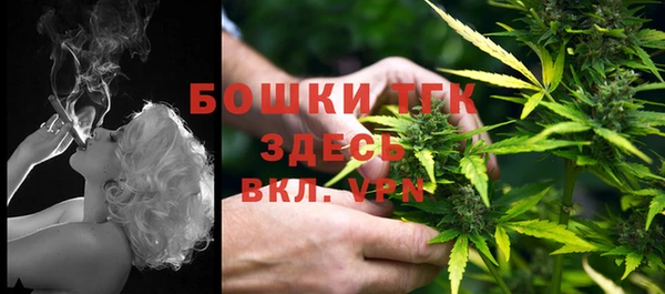 дмт Дмитриев