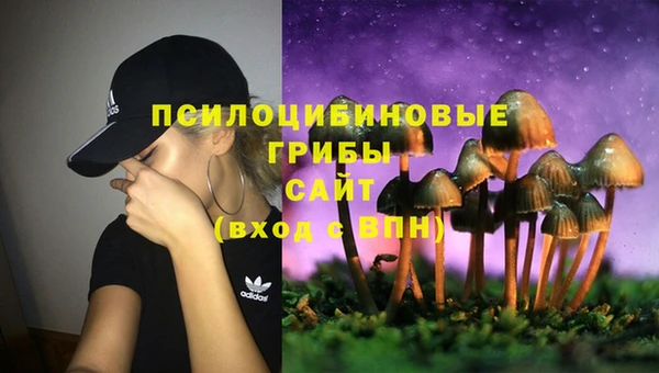 дмт Дмитриев