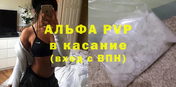 дмт Дмитриев