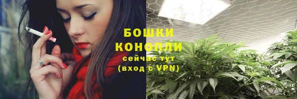 дмт Дмитриев