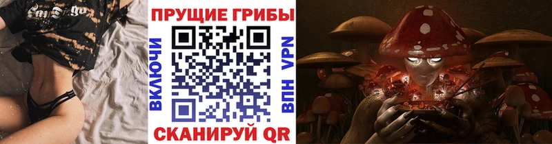 Галлюциногенные грибы GOLDEN TEACHER Купить где Цоци-Юрт